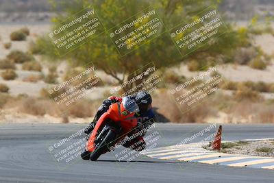 media/Apr-10-2022-SoCal Trackdays (Sun) [[f104b12566]]/Turn 5 Tree of Life (1040am)/